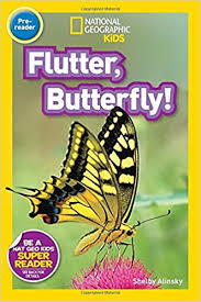flutter, butterfly